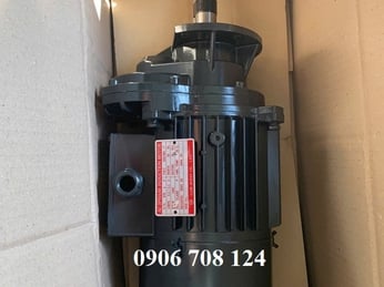 Motor dầm biên LGM 0.75 kw là gì?