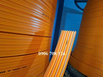 Ray điện cầu trục 4P 50A 75A 100A 150A 200A