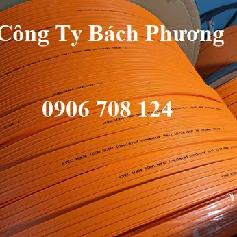 Ray điện an toàn cầu trục 3P 150A