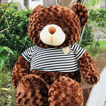 Gấu Bông Teddy - 1M
