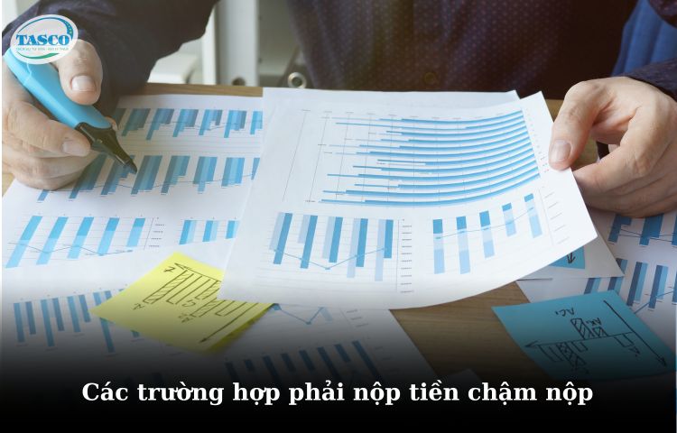 Các trường hợp phải nộp tiền chậm nộp Các trường hợp phải nộp tiền chậm nộp