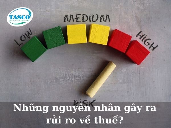 Những nguyên nhân gây ra rủi ro về thuế? Những nguyên nhân gây ra rủi ro về thuế?