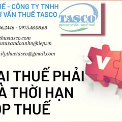 Các Loại Thuế Phải Nộp Và Thời Hạn Nộp