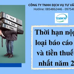 Thời hạn nộp các loại báo cáo thuế và tiền thuế mới nhất năm 2022
