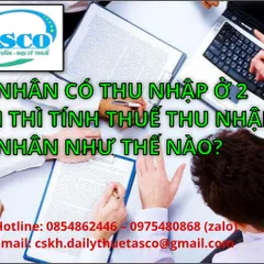 How Do Individuals Earn Income in 2 Personal Income Tax Payers?