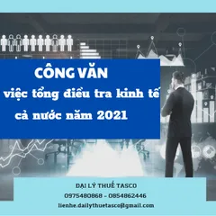 Tổng điều tra kinh tế cả nước năm 2021