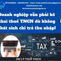 Tin tức: Doanh nghiệp không phát sinh khấu trừ thuế TNCN vẫn phải khai thuế TNCN