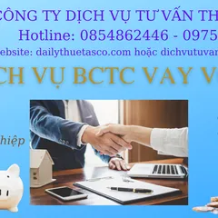 DỊCH VỤ BÁO CÁO TÀI CHÍNH VAY VỐN