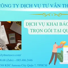 Package tax declaration services for businesses
