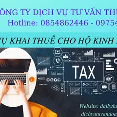 Tax declaration service for business households