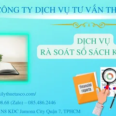 Service of reviewing accounting books