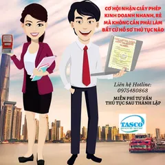 company establishment consulting services