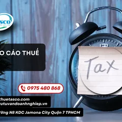 Lịch nộp báo cáo thuế năm 2025