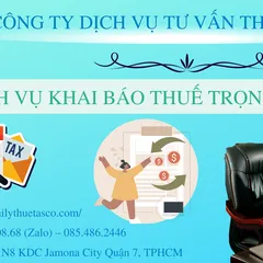 Full tax declaration service