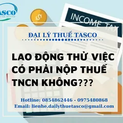 Giải đáp thắc mắc: Lao động thử việc có phải đóng thuế TNCN hay không?