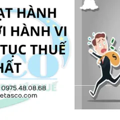 New Point About Administrative Penalties For Tax Violations According to Latest Decree: Decree 125/2020 / ND-CP