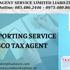 Dịch vụ báo cáo thuế - Đại lý thuế Tasco