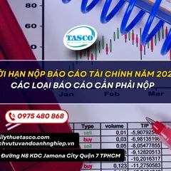 Thời hạn nộp báo cáo tài chính 2025: Các loại báo cáo cần phải nộp