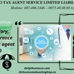 Dịch vụ lao động tiền lương, BHXH - Đại lý thuế TASCO
