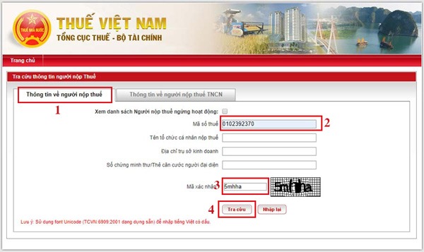 Nhập mã số thuế doanh nghiệp