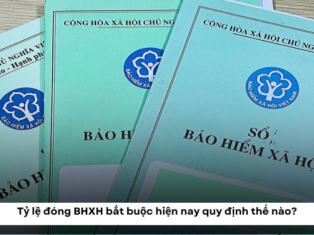Tỷ lệ đóng BHXH bắt buộc hiện nay quy định thế nào? Tỷ lệ đóng BHXH bắt buộc hiện nay quy định thế nào?