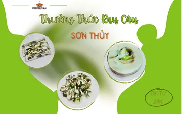 RAU CÂU SƠN THỦY VẠN NGƯỜI MÊ