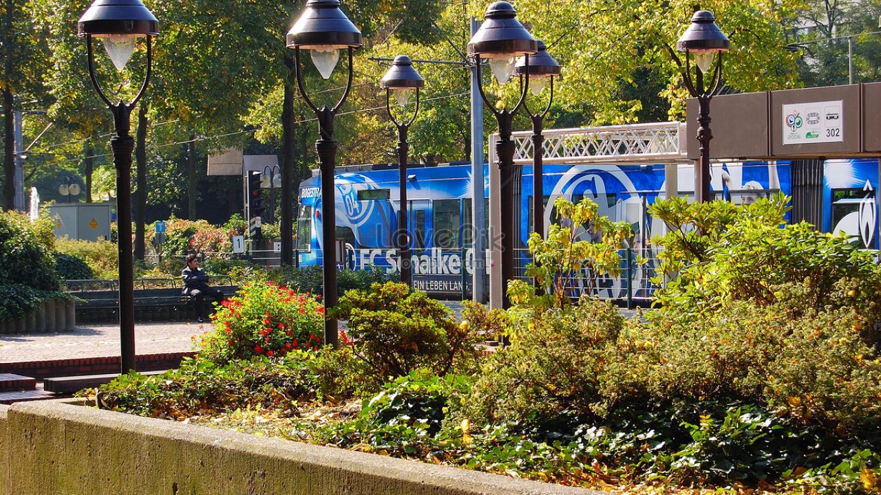 Bố trí đèn cảnh quan ngoài công viên Bố trí đèn cảnh quan ngoài công viên