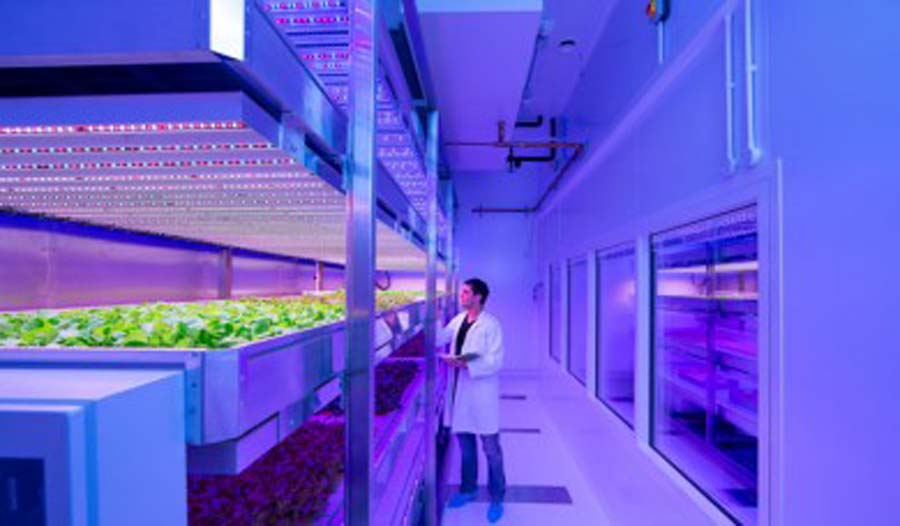 Ứng dụng bóng đèn cực tím tia UV Philips Ứng dụng bóng đèn cực tím tia UV Philips