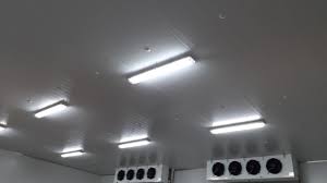 Đèn huỳnh quang hoạt động kém trong môi trường nhiệt độ nóng hoặc lạnh Đèn huỳnh quang hoạt động kém trong môi trường nhiệt độ nóng hoặc lạnh