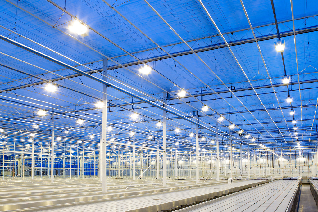 Ánh sáng của đèn LED Highbay Philips Inside Ánh sáng của đèn LED Highbay Philips Inside