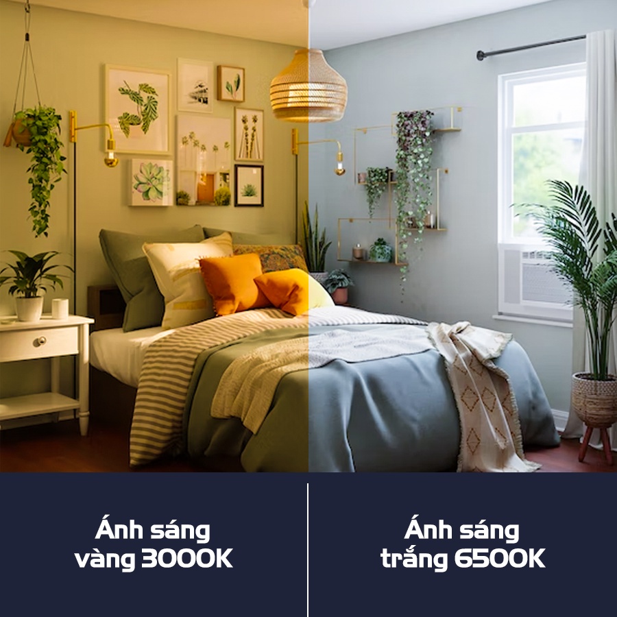 Ứng dụng đa dạng của bóng đèn led bulb Philips Essential