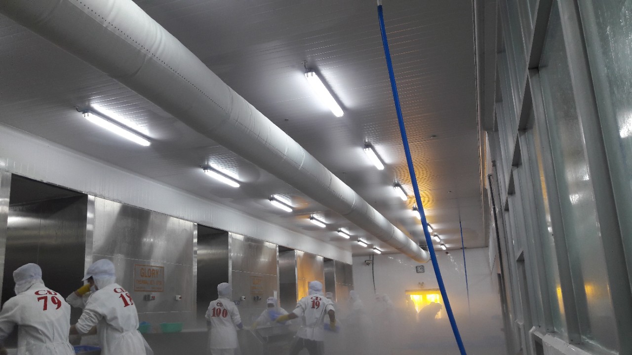 Máng đèn chống thấm Philips 1m2 TCW060C 2xTLD36W/T-Led không gian ẩm ướt Máng đèn chống thấm Philips 1m2 TCW060C 2xTLD36W/T-Led không gian ẩm ướt