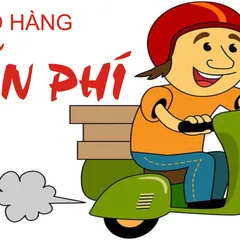 CHÍNH SÁCH GIAO HÀNG TẠI DENLEDPHILIPS.COM