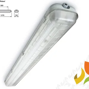 Máng đèn chống thấm Philips 1m2 TCW060C 2xTLD36W/T-Led chiếu sáng nhà máy chế biến thực phẩm, thủy hải sản