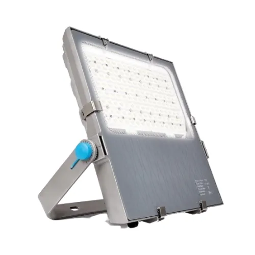 Đèn pha LED Philips Inside Floodlight BFV38XP