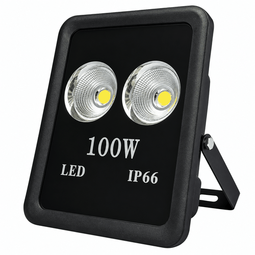 [Philips Inside] Đèn Pha Ly LED Floodlight Chiếu Sáng Cây Cảnh Sân Vườn Citilight CTL122F 100W LED150/WW 220-240V 15000LM