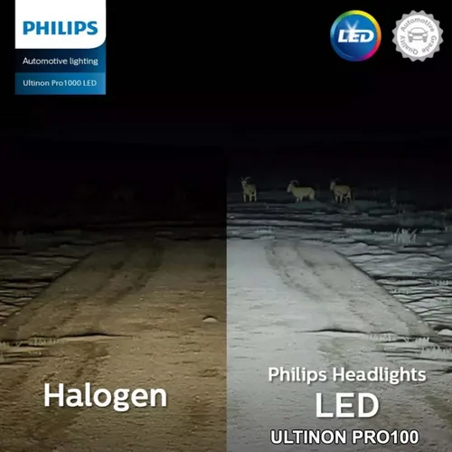 HB3/HB4 LED 11005 Ultinon Pro1000 HL 12V X2 6500K 12.5W 1250lm - Hộp 2 Bóng đèn pha xe hơi ô tô Philips Ultinon Pro1000 HL LED HB3/HB4 11005 U1000 12V X2 6500K 12.5W 1250lm 