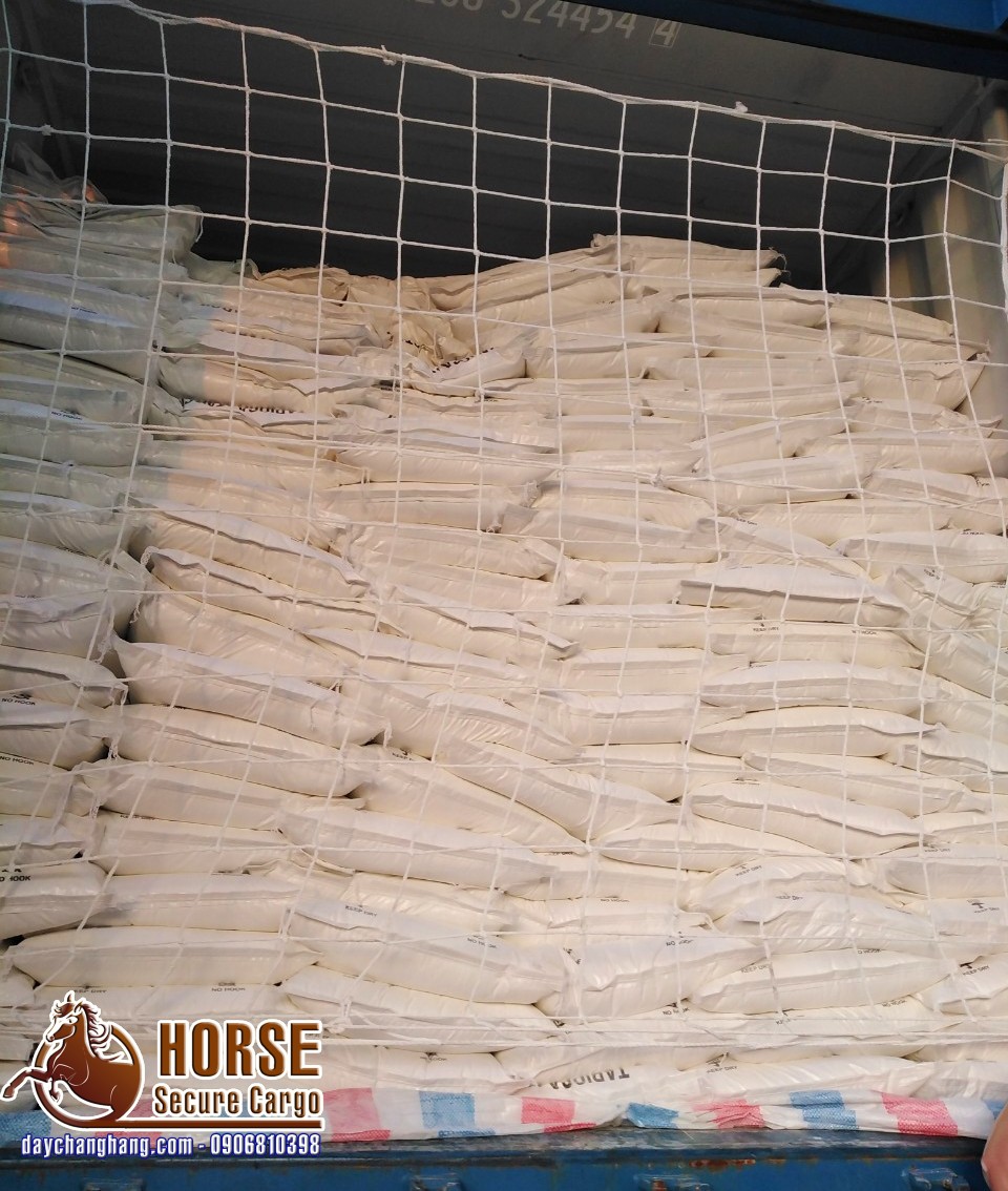 Ứng dụng lưới an toàn container