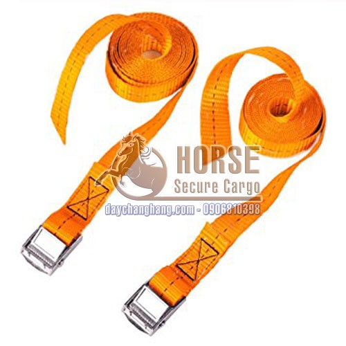 dây chằng khóa cam bản 25x8m cam không móc dây chằng khóa cam bản 25x8m cam không móc