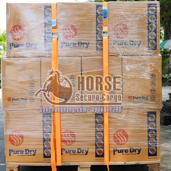 Dây chằng khóa cam giúp cố định các thùng hàng trên pallet không bị đỗ ngã trong quá trình vận chuyển Dây chằng khóa cam giúp cố định các thùng hàng trên pallet không bị đỗ ngã trong quá trình vận chuyển