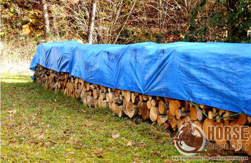 Ứng dụng dây thun tròn cao su chằng hàng trong cuộc sống Ứng dụng dây thun tròn cao su chằng hàng trong cuộc sống