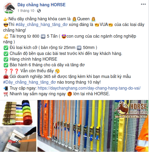 các chương trình ưu đãi khi mua dây chằng hàng khóa cam horse các chương trình ưu đãi khi mua dây chằng hàng khóa cam horse