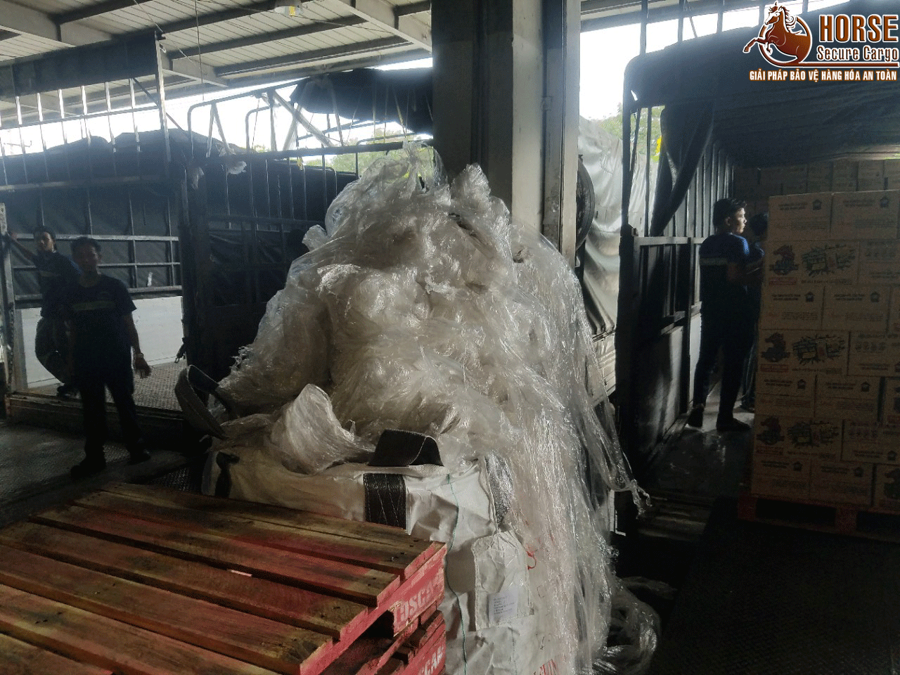 màng pe gây ô nhiễm môi trường do không thể tái sử dụng hay phân hủy được màng pe gây ô nhiễm môi trường do không thể tái sử dụng hay phân hủy được