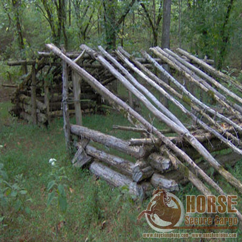 Ứng dụng dây thun tròn chằng hàng trong thiên nhiên Ứng dụng dây thun tròn chằng hàng trong thiên nhiên