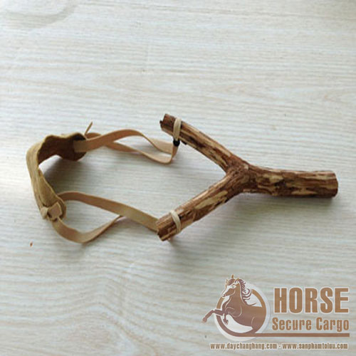 Ứng dụng dây thun tròn chằng hàng trong thiên nhiên Ứng dụng dây thun tròn chằng hàng trong thiên nhiên