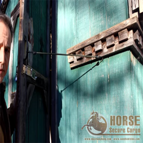 Ứng dụng dây thun tròn chằng hàng trong thiên nhiên Ứng dụng dây thun tròn chằng hàng trong thiên nhiên