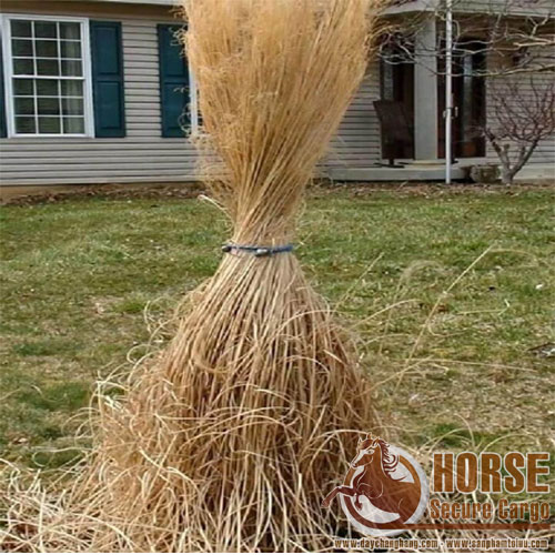 Ứng dụng dây thun tròn chằng hàng trong đời sống Ứng dụng dây thun tròn chằng hàng trong đời sống