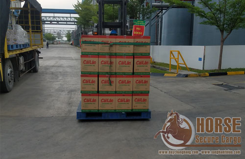 Ứng dụng Dây thun bản chằng pallet thay thế màng PE quấn pallet Ứng dụng Dây thun bản chằng pallet thay thế màng PE quấn pallet