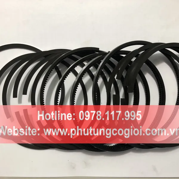 Bộ xéc măng động cơ Wechai WP6
