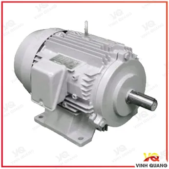 Motor điện Toshiba chân đế 3kw